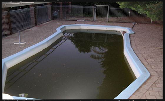 Unmaintained swimming pool